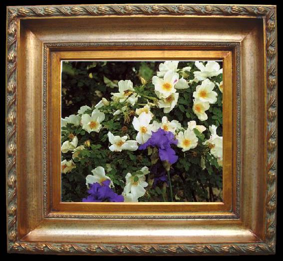 unknow artist Still life floral, all kinds of reality flowers oil painting  383